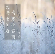 24节气之小雪——滋补正当时！张成荣陪你恣意人生！